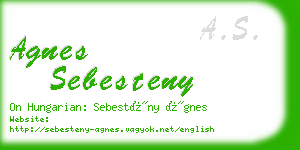 agnes sebesteny business card